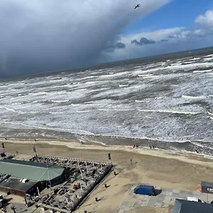 De Steltloper Zandvoort